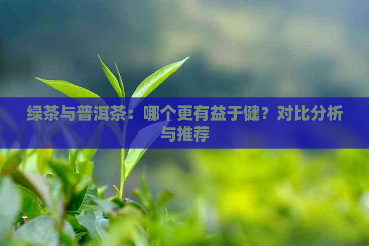 绿茶与普洱茶：哪个更有益于健？对比分析与推荐