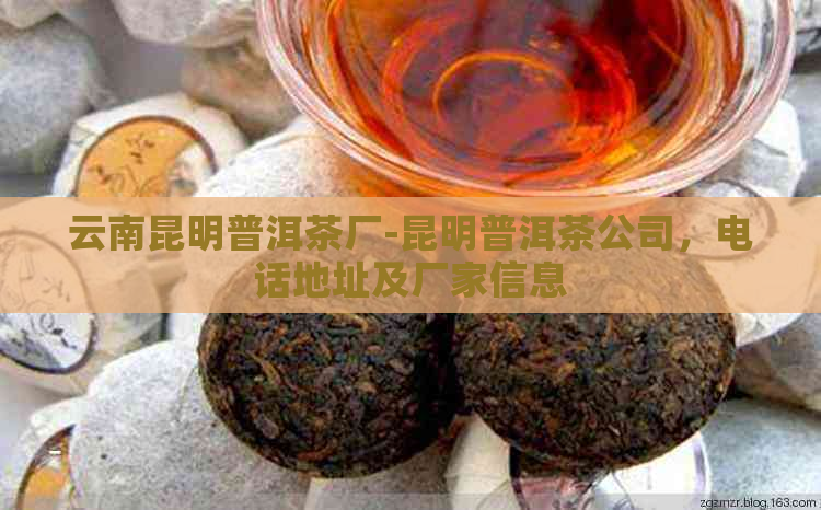 云南昆明普洱茶厂-昆明普洱茶公司，电话地址及厂家信息