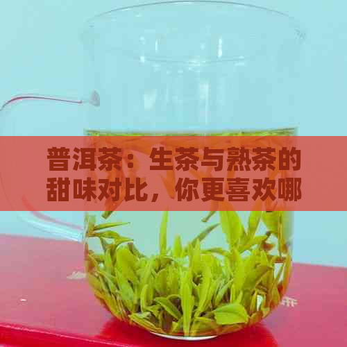 普洱茶：生茶与熟茶的甜味对比，你更喜欢哪一种？