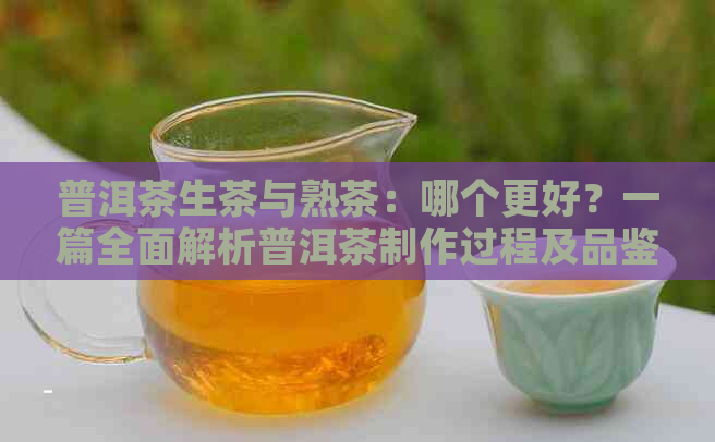 普洱茶生茶与熟茶：哪个更好？一篇全面解析普洱茶制作过程及品鉴技巧的解答