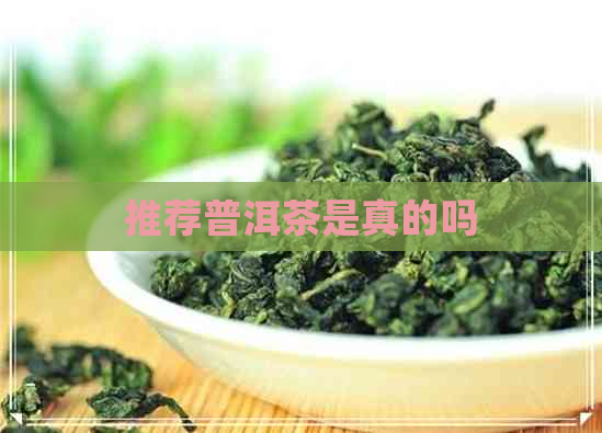 推荐普洱茶是真的吗