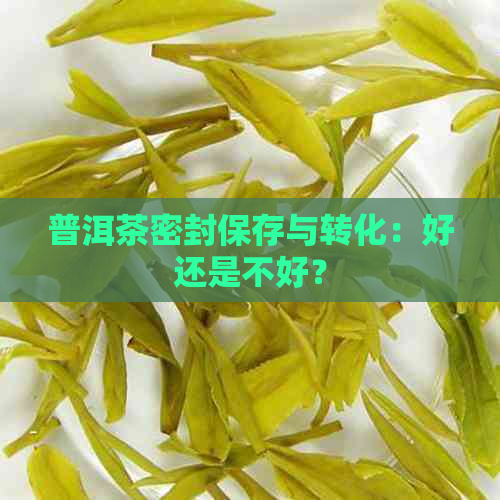 普洱茶密封保存与转化：好还是不好？