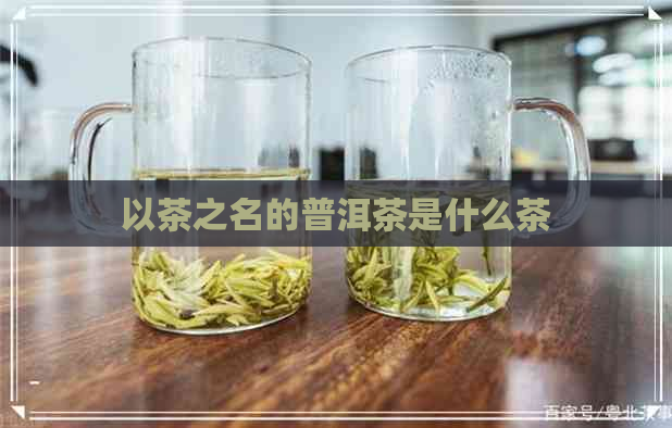 以茶之名的普洱茶是什么茶