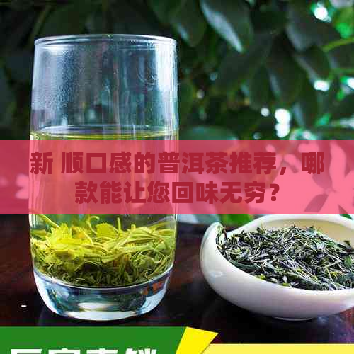 新 顺口感的普洱茶推荐，哪款能让您回味无穷？