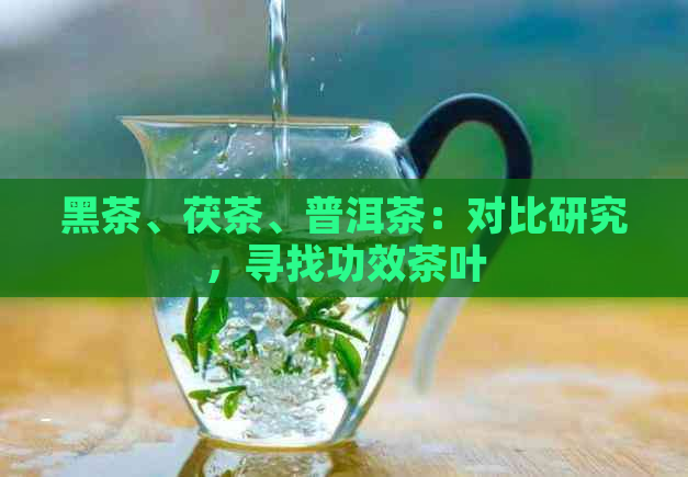 黑茶、茯茶、普洱茶：对比研究，寻找功效茶叶