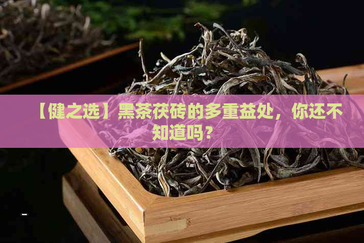 【健之选】黑茶茯砖的多重益处，你还不知道吗？