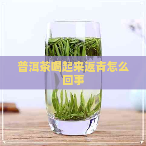 普洱茶喝起来返青怎么回事