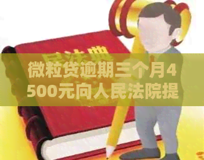 微粒贷逾期三个月4500元向人民法院提出申请-微粒贷逾期三个月4500元向人民法院提出申请执行