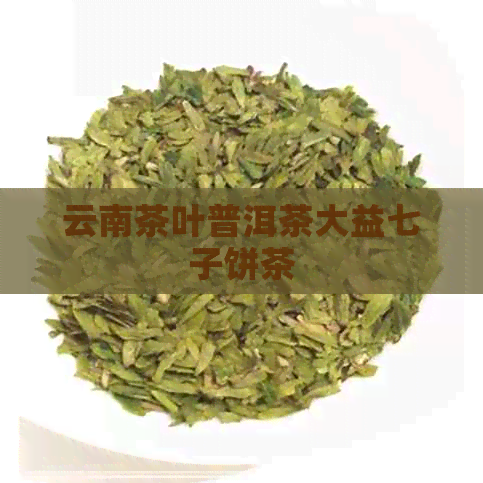 云南茶叶普洱茶大益七子饼茶