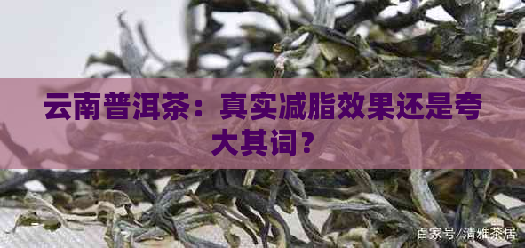 云南普洱茶：真实减脂效果还是夸大其词？