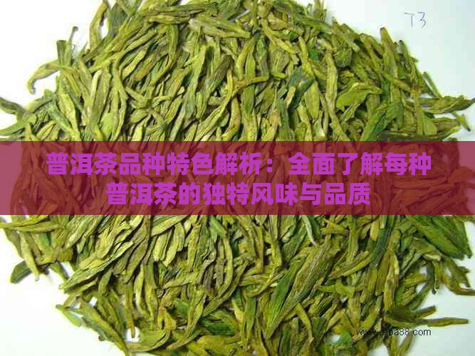 普洱茶品种特色解析：全面了解每种普洱茶的独特风味与品质  第1张