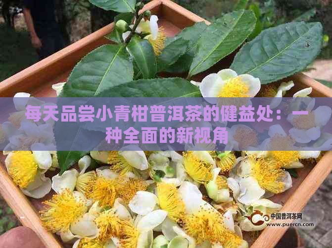 每天品尝小青柑普洱茶的健益处：一种全面的新视角