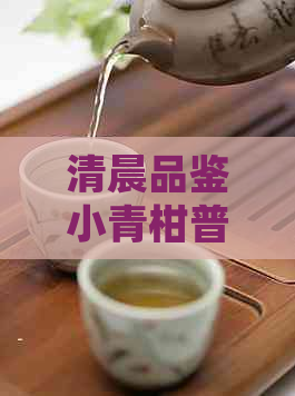 清晨品鉴小青柑普洱茶：益处与潜在风险分析