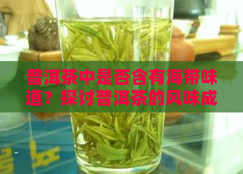 普洱茶中是否含有海带味道？探讨普洱茶的风味成分及与海带的关系