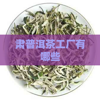 肃普洱茶工厂有哪些