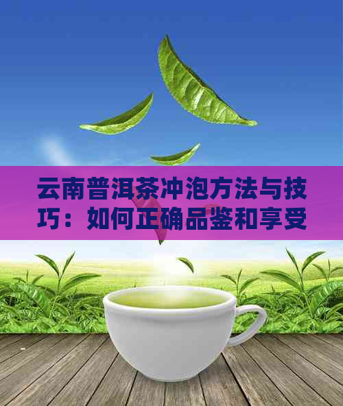 云南普洱茶冲泡方法与技巧：如何正确品鉴和享受这款经典好茶