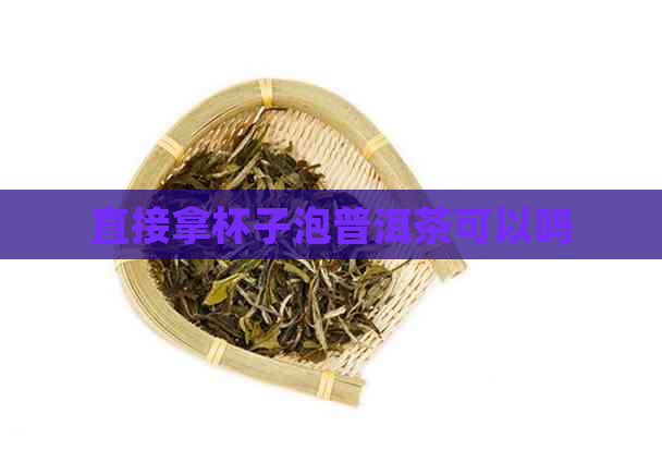 直接拿杯子泡普洱茶可以吗