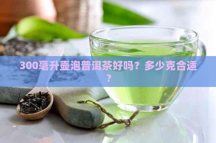 300毫升壶泡普洱茶好吗？多少克合适？