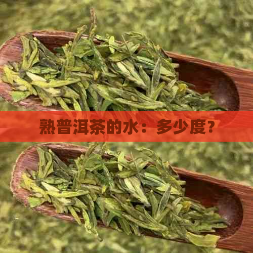 熟普洱茶的水：多少度？