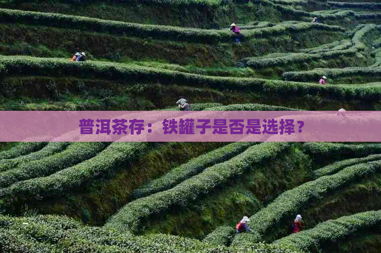 普洱茶存：铁罐子是否是选择？