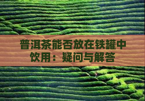 普洱茶能否放在铁罐中饮用：疑问与解答