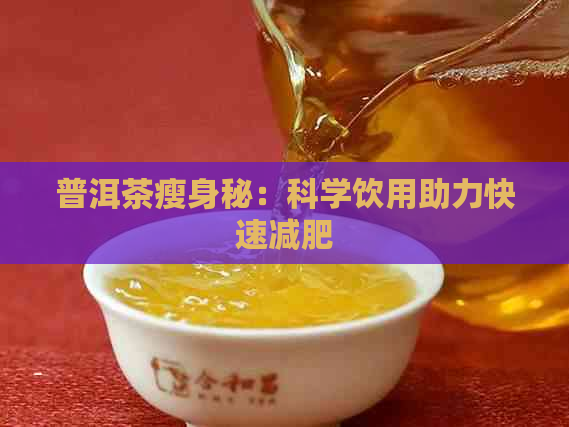 普洱茶瘦身秘：科学饮用助力快速减肥