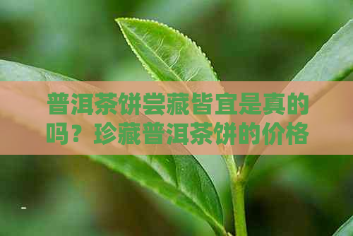 普洱茶饼尝藏皆宜是真的吗？珍藏普洱茶饼的价格是多少？