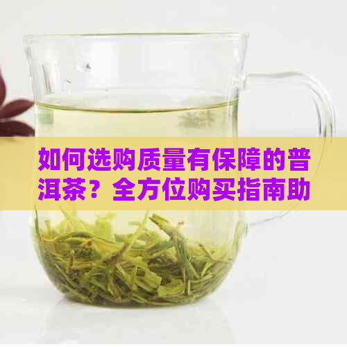 如何选购质量有保障的普洱茶？全方位购买指南助你挑选优质普洱茶