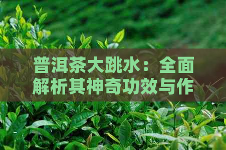 普洱茶大跳水：全面解析其神奇功效与作用，解答您的所有疑问