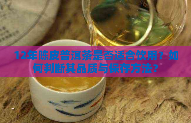 12年陈皮普洱茶是否适合饮用？如何判断其品质与保存方法？