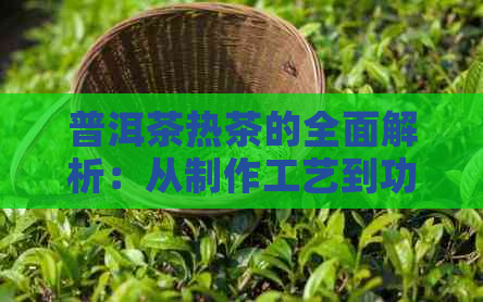 普洱茶热茶的全面解析：从制作工艺到功效与禁忌，一篇解决所有疑问的文章