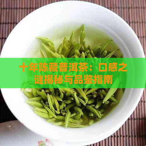 十年陈藏普洱茶：口感之谜揭秘与品鉴指南