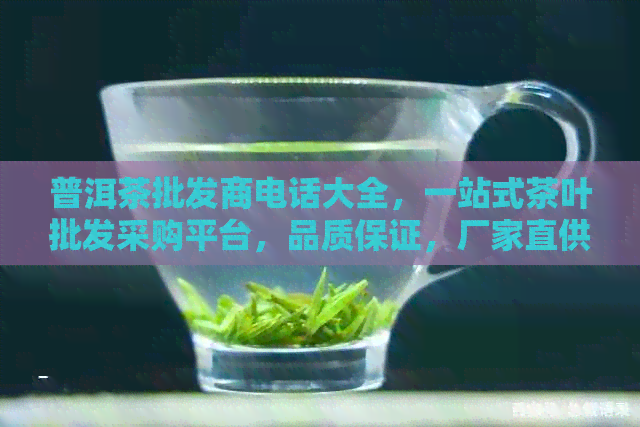 普洱茶批发商电话大全，一站式茶叶批发采购平台，品质保证，厂家直供！