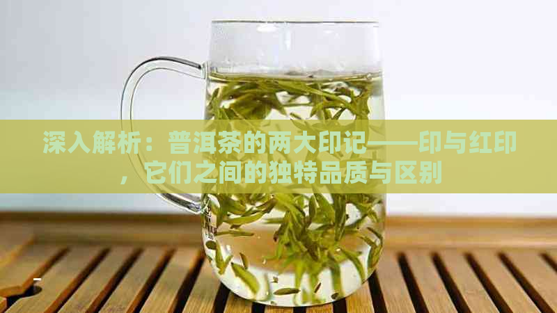 深入解析：普洱茶的两大印记——印与红印，它们之间的独特品质与区别