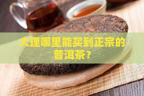 大理哪里能买到正宗的普洱茶？