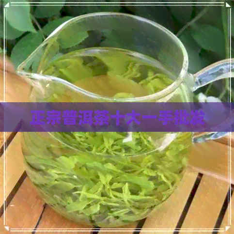 正宗普洱茶十大一手批发