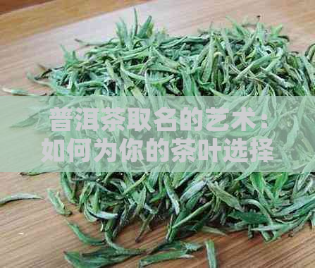 普洱茶取名的艺术：如何为你的茶叶选择一个完美的名字？