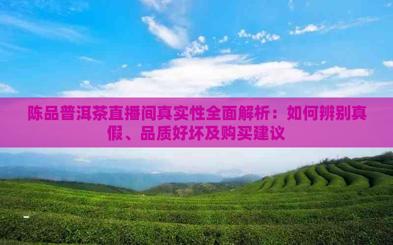 陈品普洱茶直播间真实性全面解析：如何辨别真假、品质好坏及购买建议