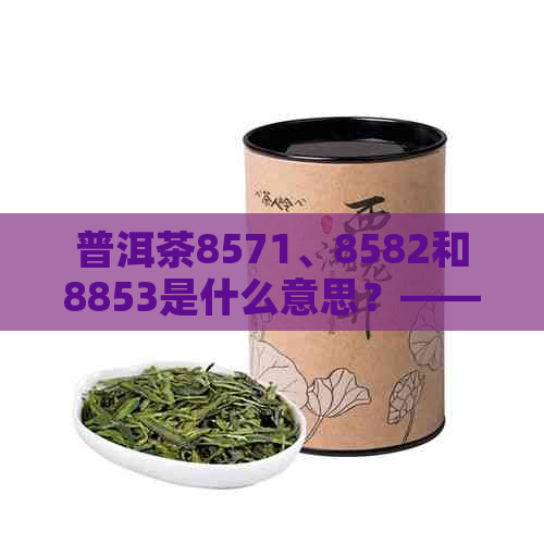 普洱茶8571、8582和8853是什么意思？——揭秘普洱茶编号的含义