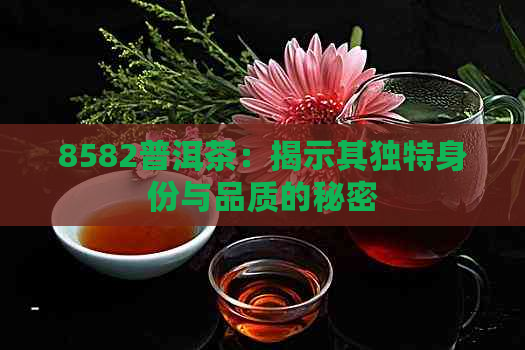 8582普洱茶：揭示其独特身份与品质的秘密