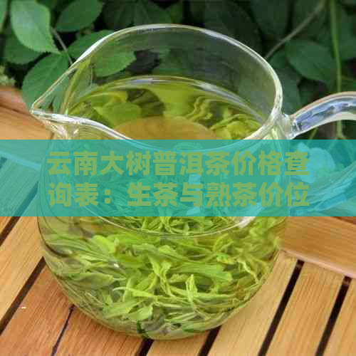 云南大树普洱茶价格查询表：生茶与熟茶价位一览