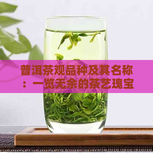 普洱茶观品种及其名称：一览无余的茶艺瑰宝解析