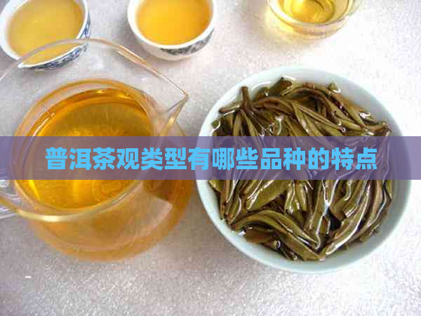 普洱茶观类型有哪些品种的特点