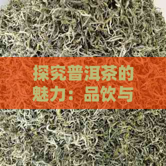 探究普洱茶的魅力：品饮与饮用的区别及适宜时机