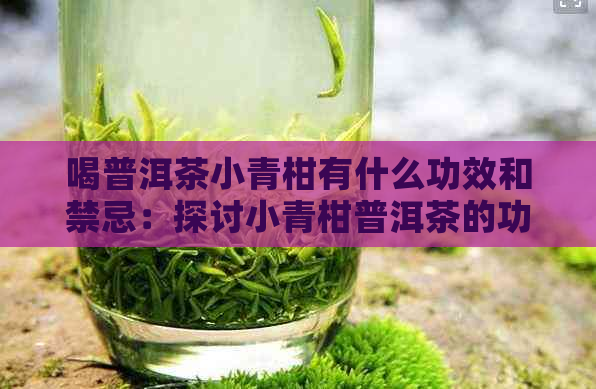 喝普洱茶小青柑有什么功效和禁忌：探讨小青柑普洱茶的功效与注意事项