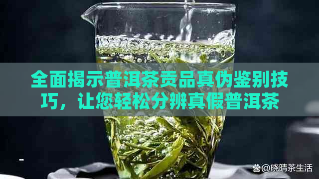 全面揭示普洱茶贡品真伪鉴别技巧，让您轻松分辨真假普洱茶