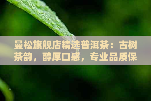 曼松旗舰店精选普洱茶：古树茶韵，醇厚口感，专业品质保证