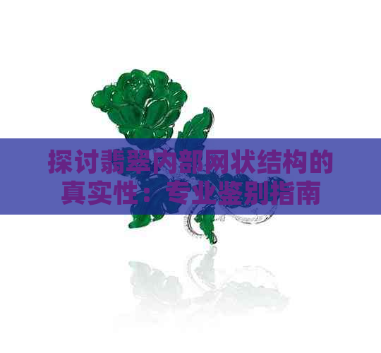 探讨翡翠内部网状结构的真实性：专业鉴别指南