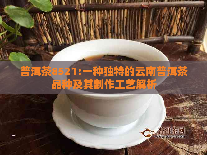 普洱茶8521:一种独特的云南普洱茶品种及其制作工艺解析