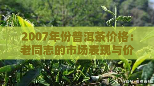 2007年份普洱茶价格：老同志的市场表现与价值分析